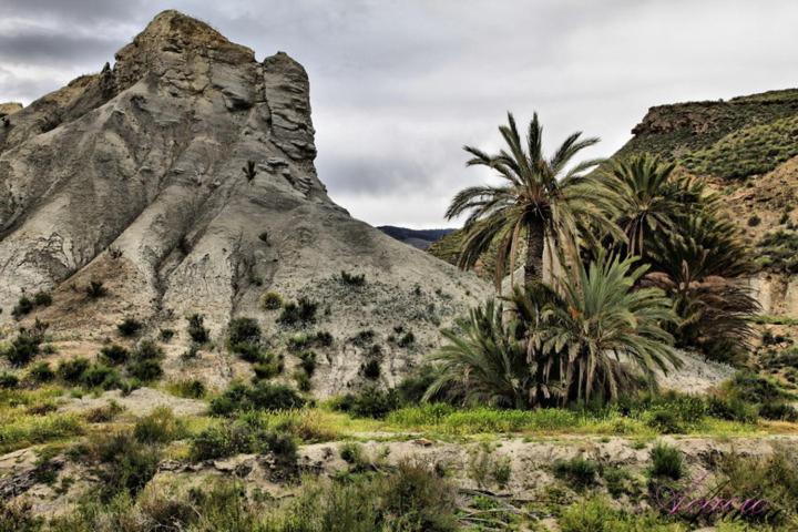 Alojamiento Las Dunas Bajo Tabernas Εξωτερικό φωτογραφία